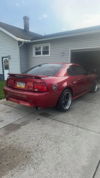 2003 Ford SN95 Mustang - Image 4 of 6