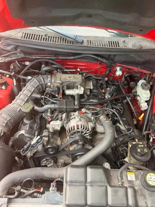 2003 Ford SN95 Mustang - Image 7 of 8