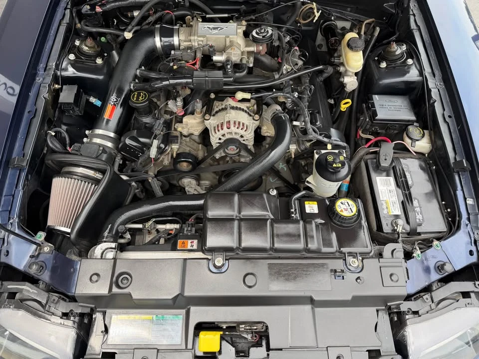 2003 Ford SN95 Mustang - Image 3 of 19