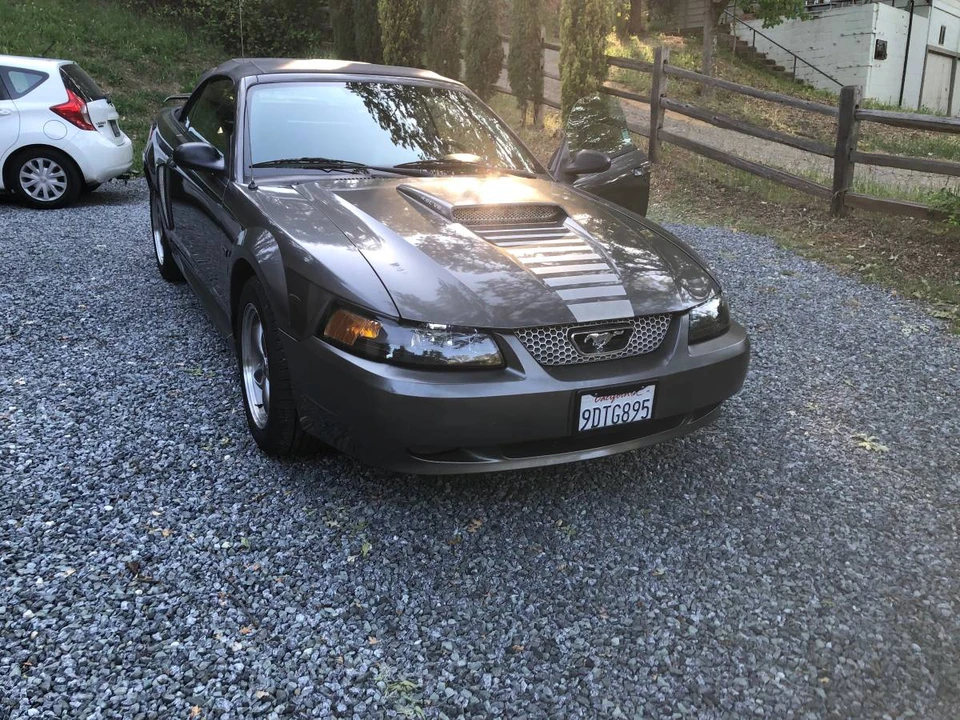 2003 Ford SN95 Mustang - Image 4 of 8