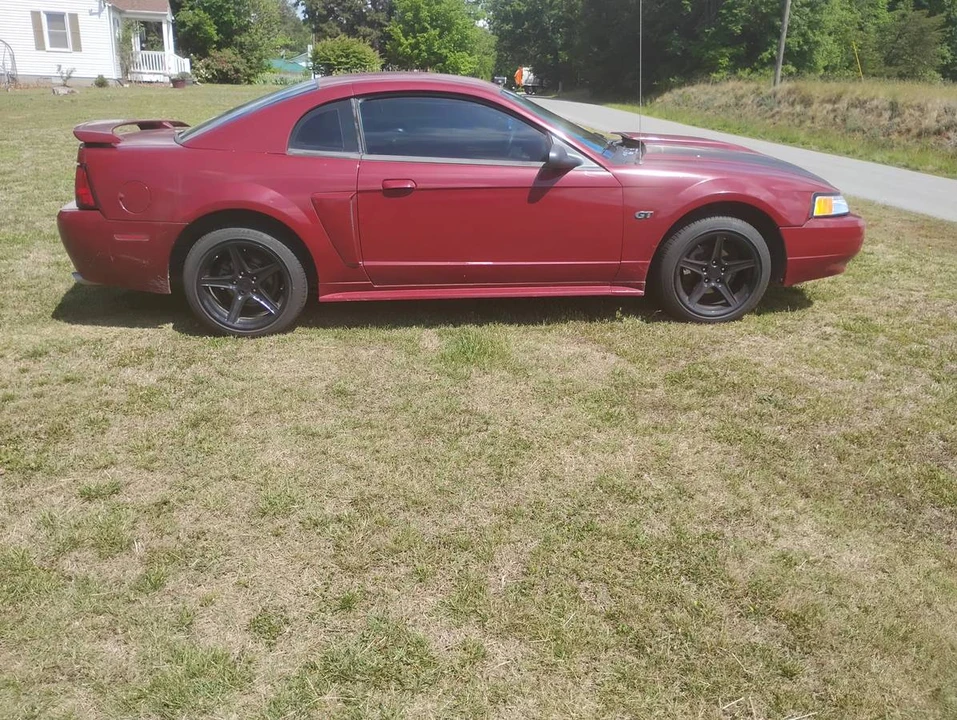 2003 Ford SN95 Mustang - Image 4 of 8