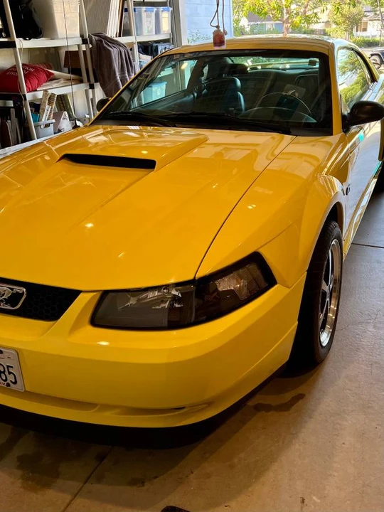 2003 Ford SN95 Mustang - Image 10 of 17