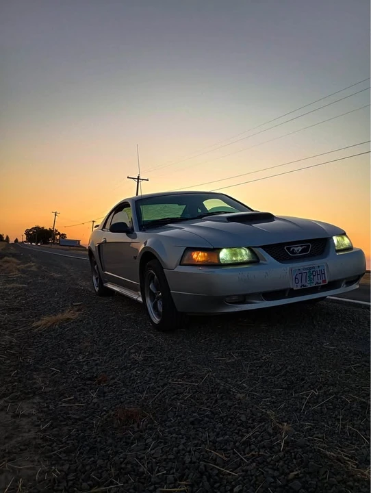 2003 Ford SN95 Mustang - Image 6 of 8