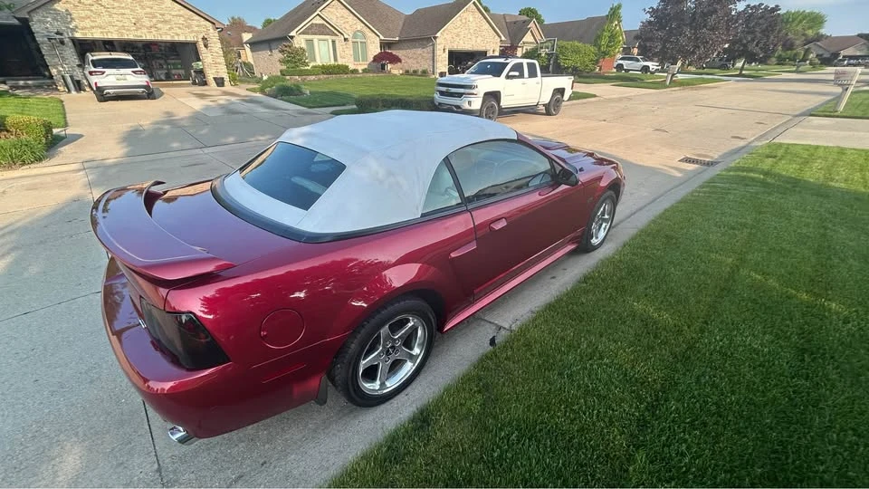 2003 Ford SN95 Mustang - Image 8 of 9
