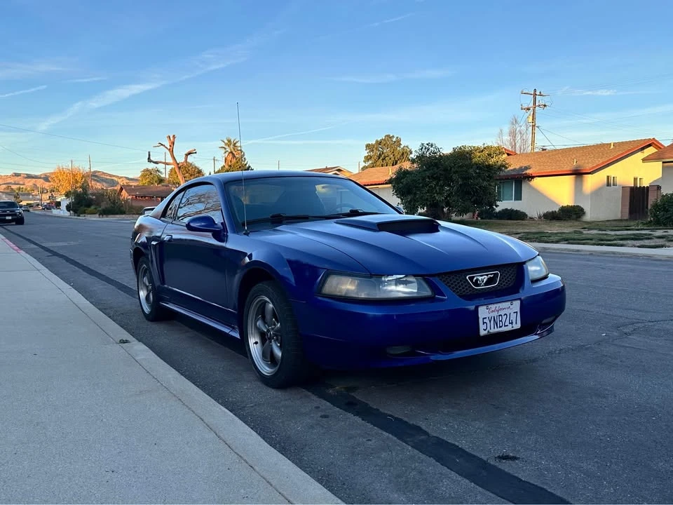 2003 Ford SN95 Mustang - Image 2 of 8