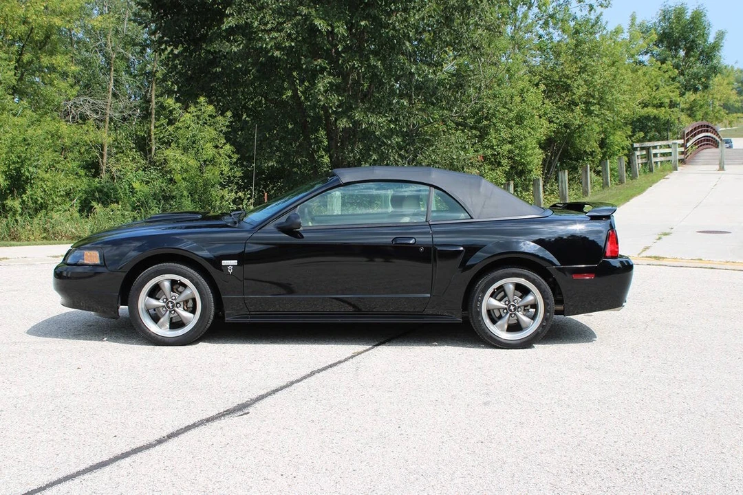 2003 Ford SN95 Mustang - Image 14 of 31