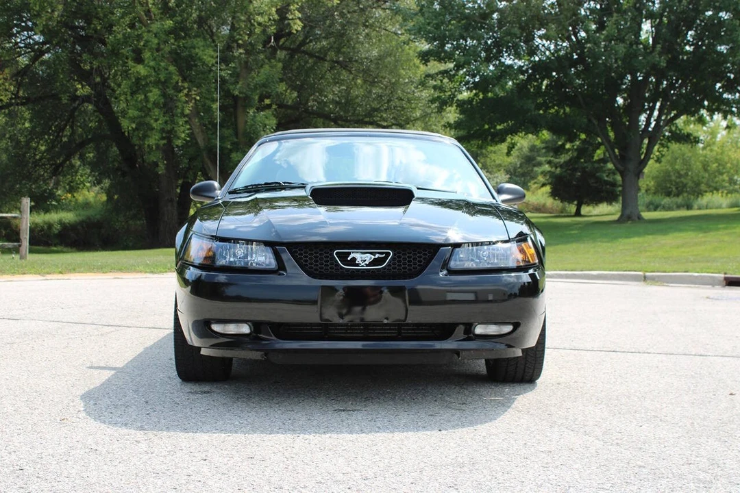 2003 Ford SN95 Mustang - Image 3 of 31