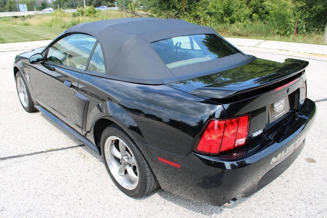 2003 Ford SN95 Mustang - Image 19 of 31