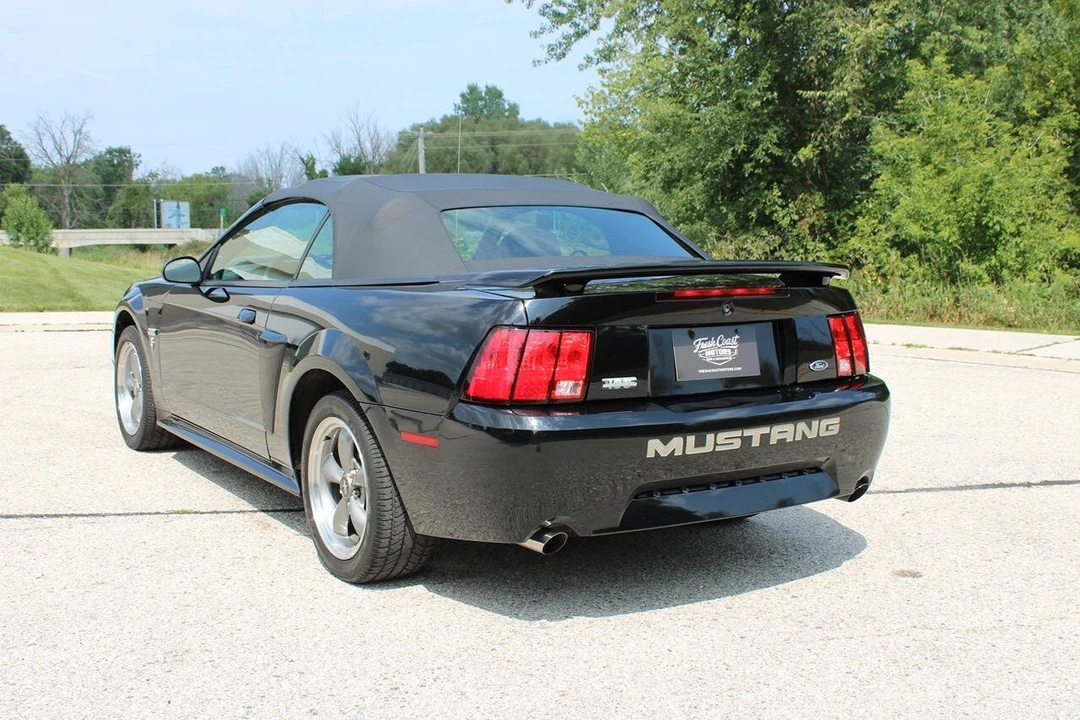2003 Ford SN95 Mustang - Image 12 of 31
