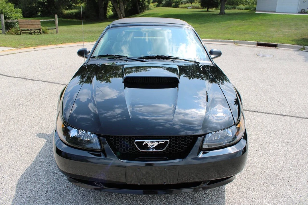2003 Ford SN95 Mustang - Image 16 of 31
