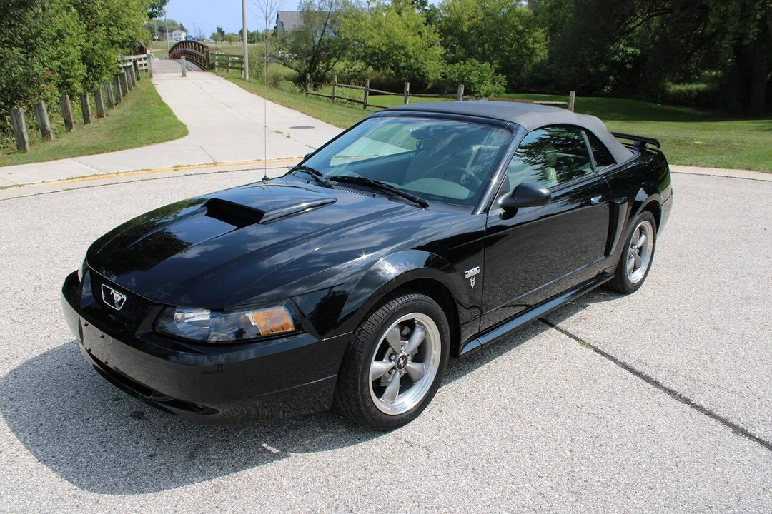 2003 Ford SN95 Mustang - Image 15 of 31