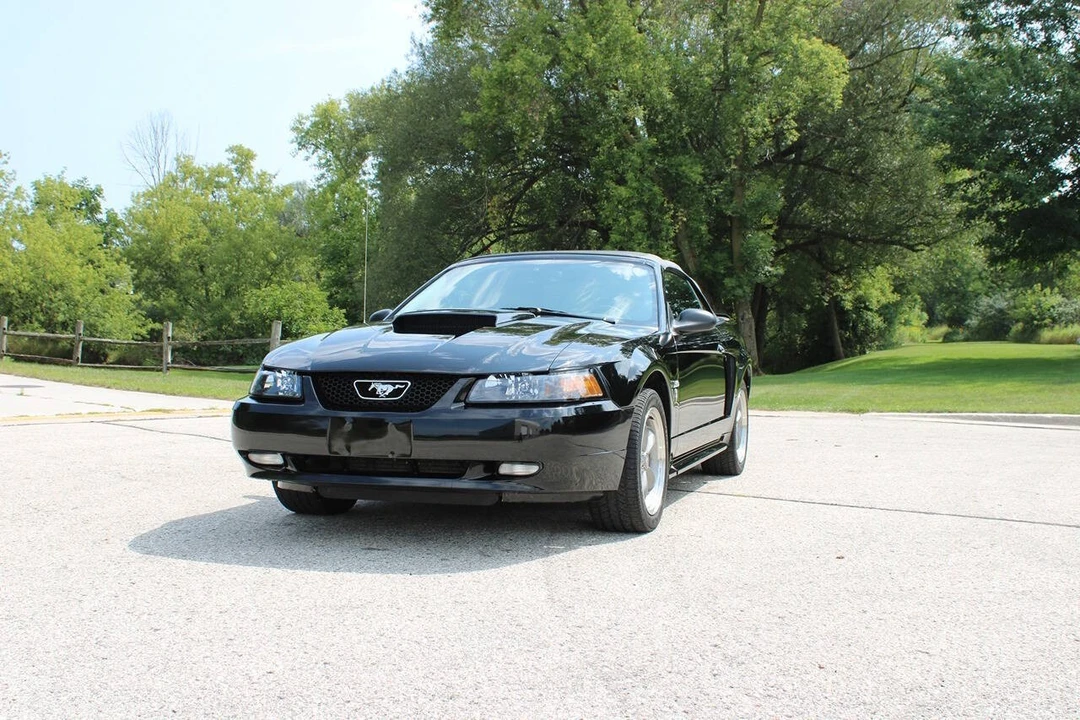 2003 Ford SN95 Mustang - Image 2 of 31