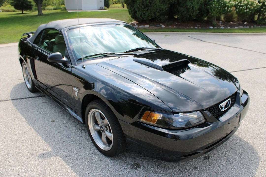 2003 Ford SN95 Mustang - Image 17 of 31