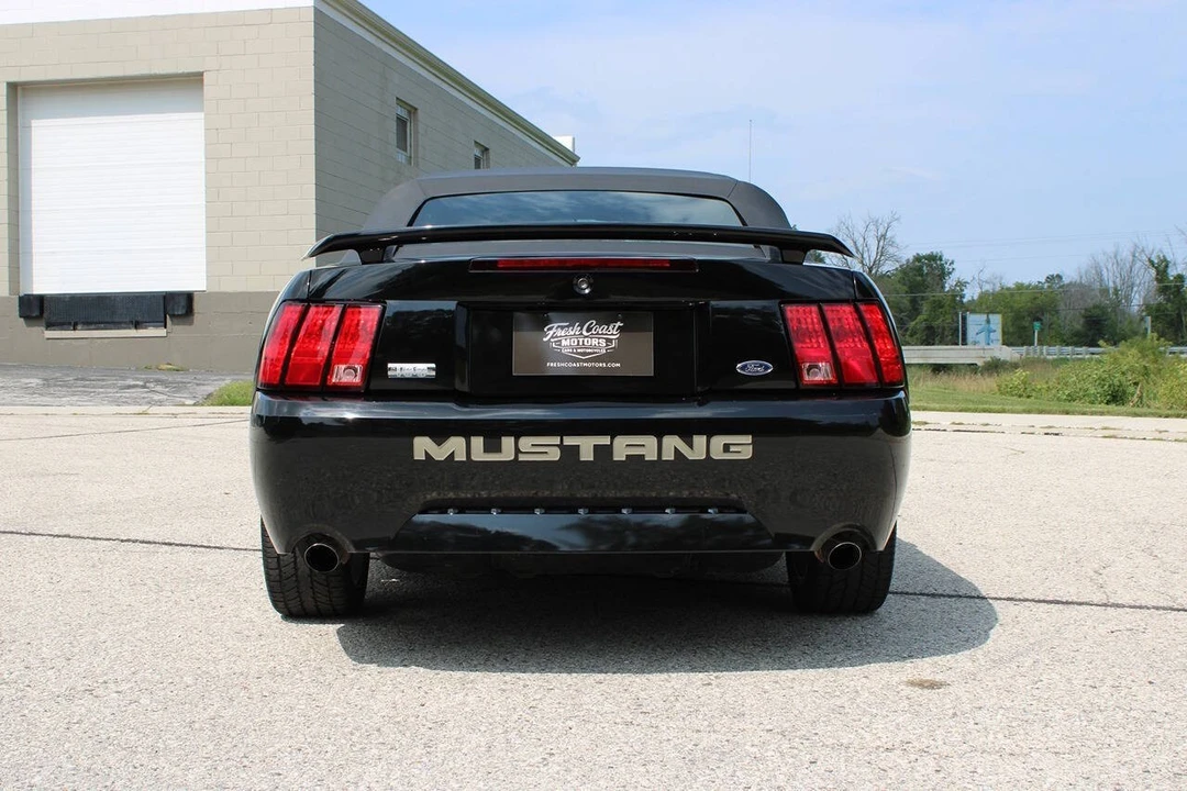 2003 Ford SN95 Mustang - Image 11 of 31