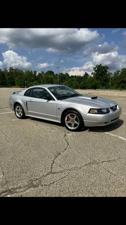 2003 Ford SN95 Mustang - Image 2 of 15