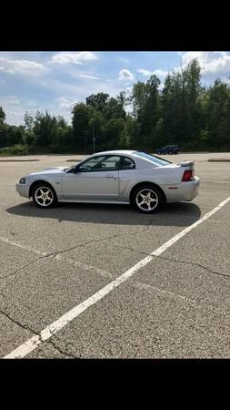 2003 Ford SN95 Mustang - Image 15 of 15