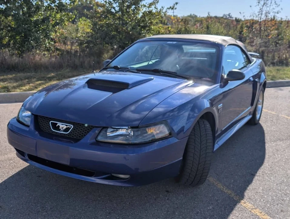 2003 Ford SN95 Mustang - Image 2 of 15