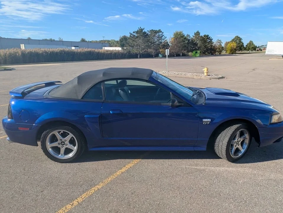 2003 Ford SN95 Mustang - Image 5 of 15