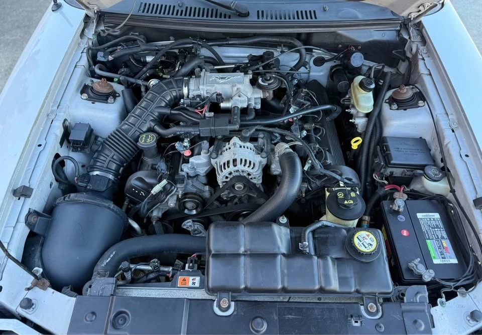 2003 Ford SN95 Mustang - Image 15 of 17