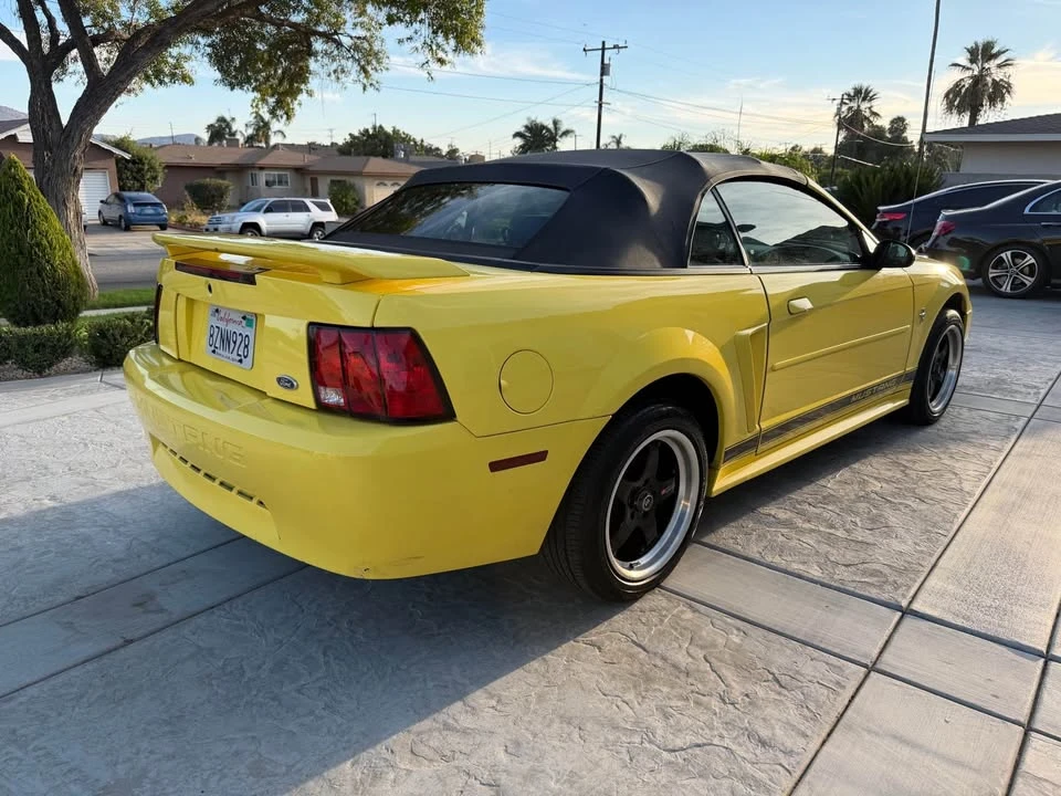 2003 Ford SN95 Mustang - Image 3 of 20
