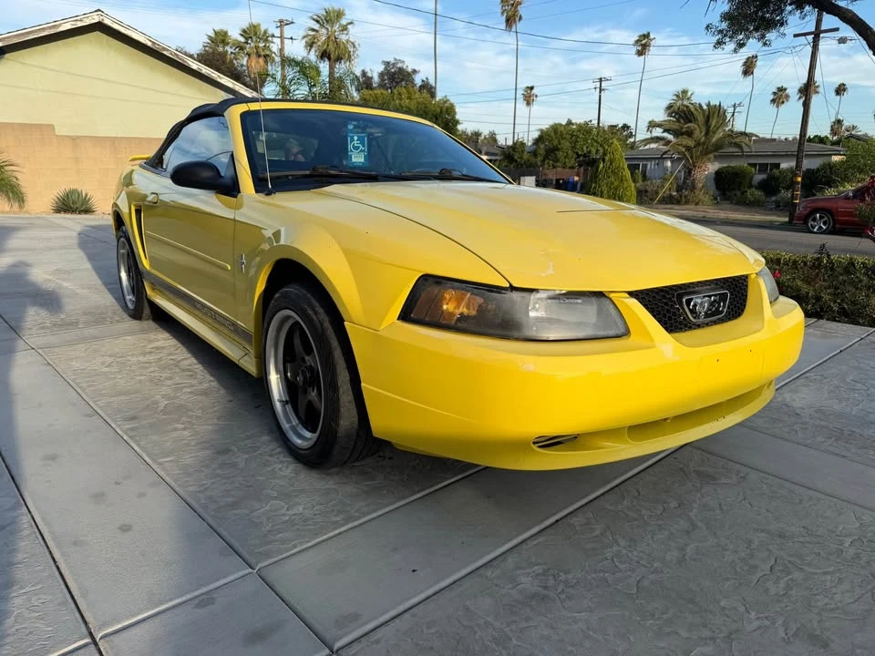2003 Ford SN95 Mustang - Image 4 of 20