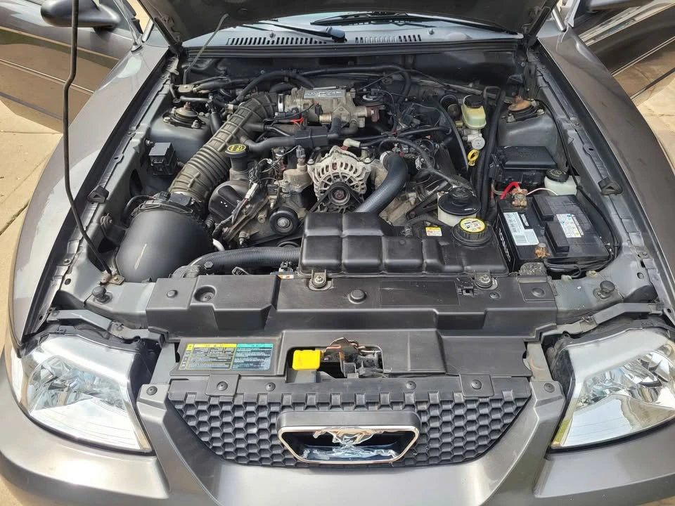 2003 Ford SN95 Mustang - Image 13 of 13