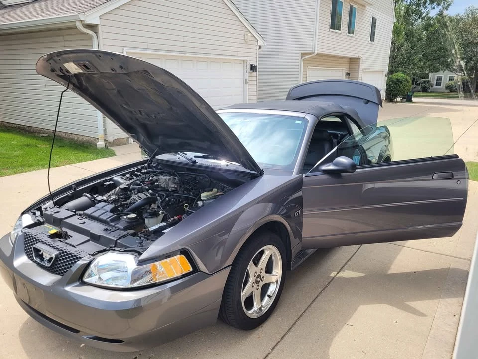 2003 Ford SN95 Mustang - Image 2 of 13