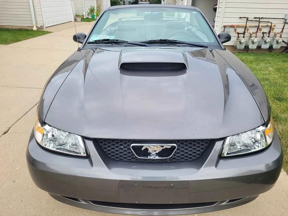 2003 Ford SN95 Mustang - Image 7 of 13