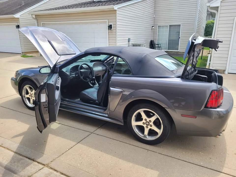 2003 Ford SN95 Mustang - Image 5 of 13