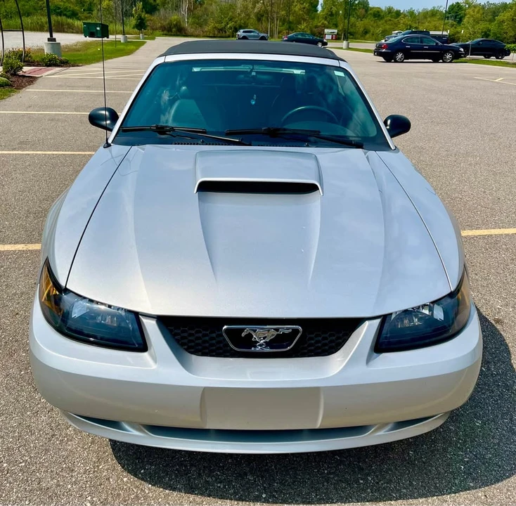 2003 Ford SN95 Mustang - Image 2 of 7