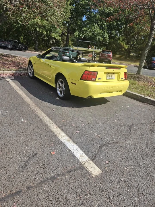 2003 Ford SN95 Mustang - Image 4 of 4