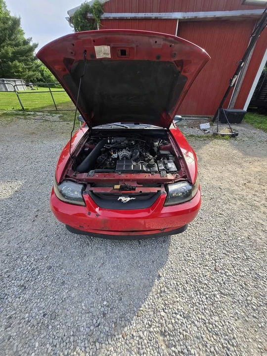 2003 Ford SN95 Mustang - Image 6 of 8
