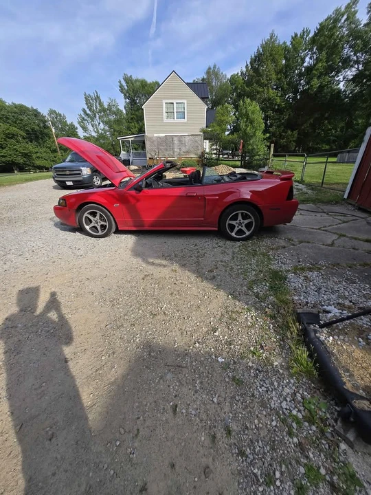 2003 Ford SN95 Mustang - Image 7 of 8