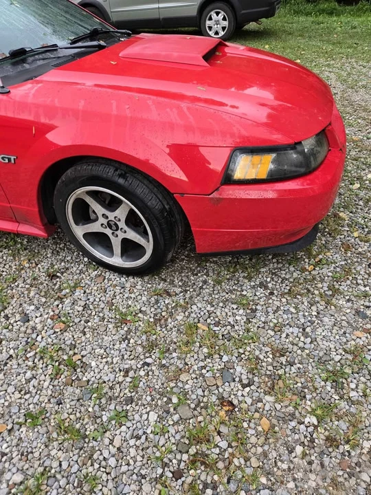 2003 Ford SN95 Mustang - Image 3 of 8