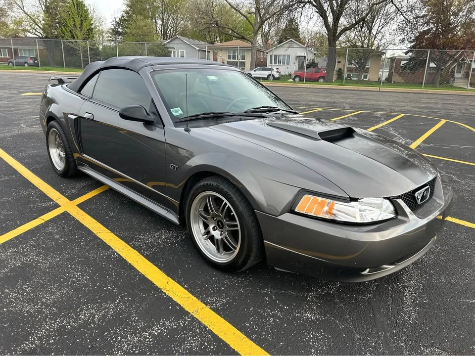 2003 Ford SN95 Mustang - Image 4 of 13