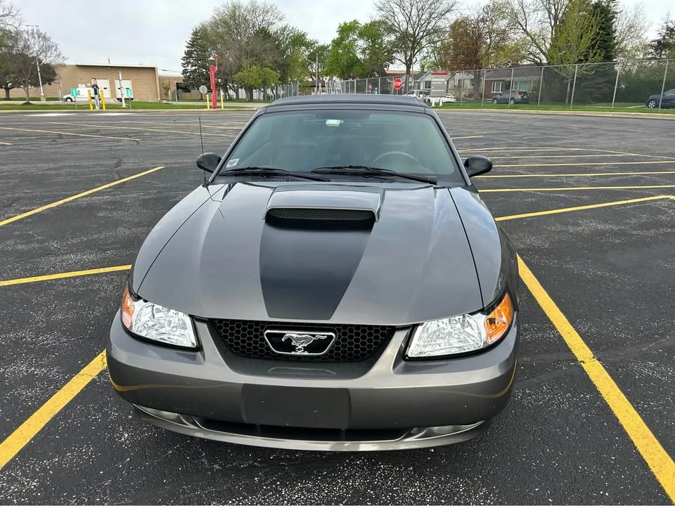 2003 Ford SN95 Mustang - Image 3 of 13