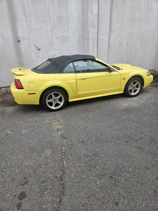 2003 Ford SN95 Mustang - Image 3 of 4