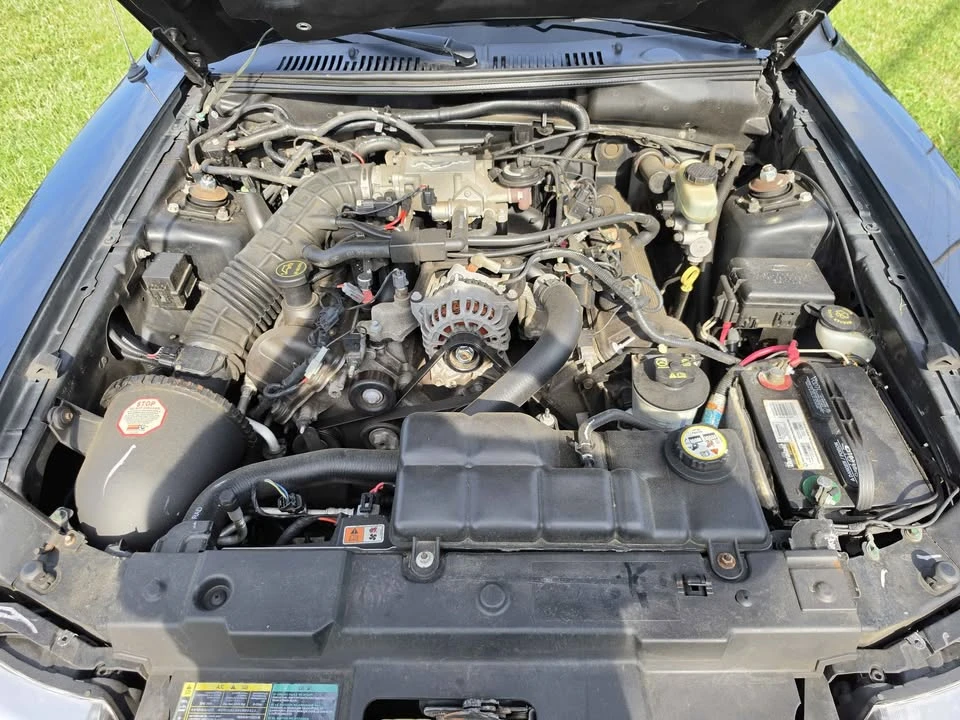2003 Ford SN95 Mustang - Image 14 of 14