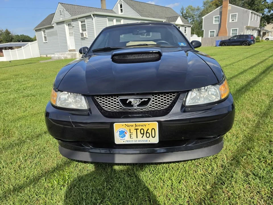 2003 Ford SN95 Mustang - Image 4 of 14