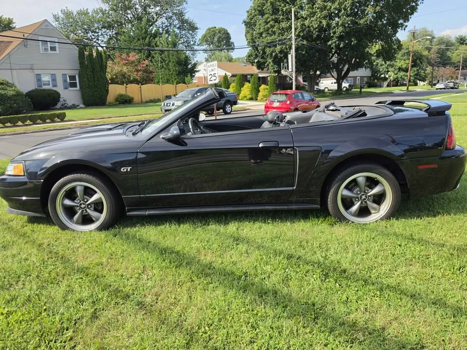2003 Ford SN95 Mustang - Image 11 of 14