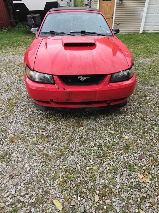2003 Ford SN95 Mustang - Image 2 of 8