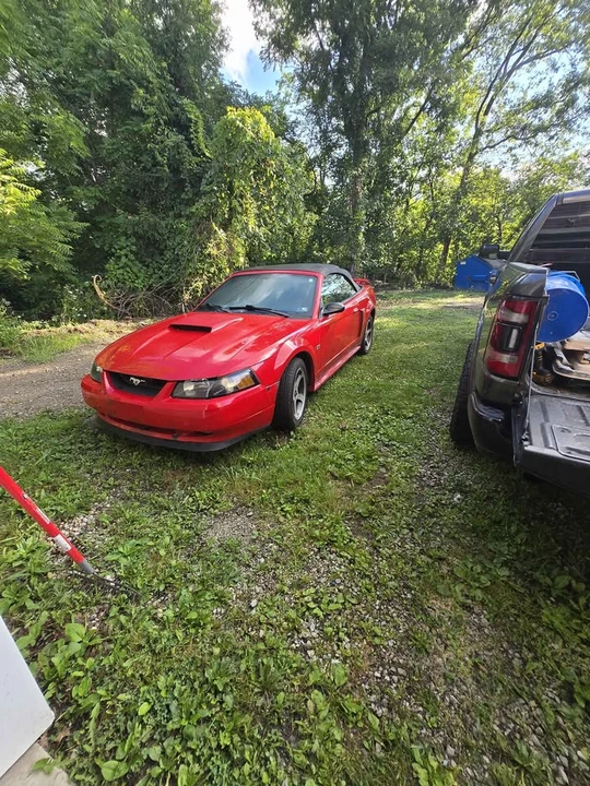 2003 Ford SN95 Mustang - Image 5 of 8