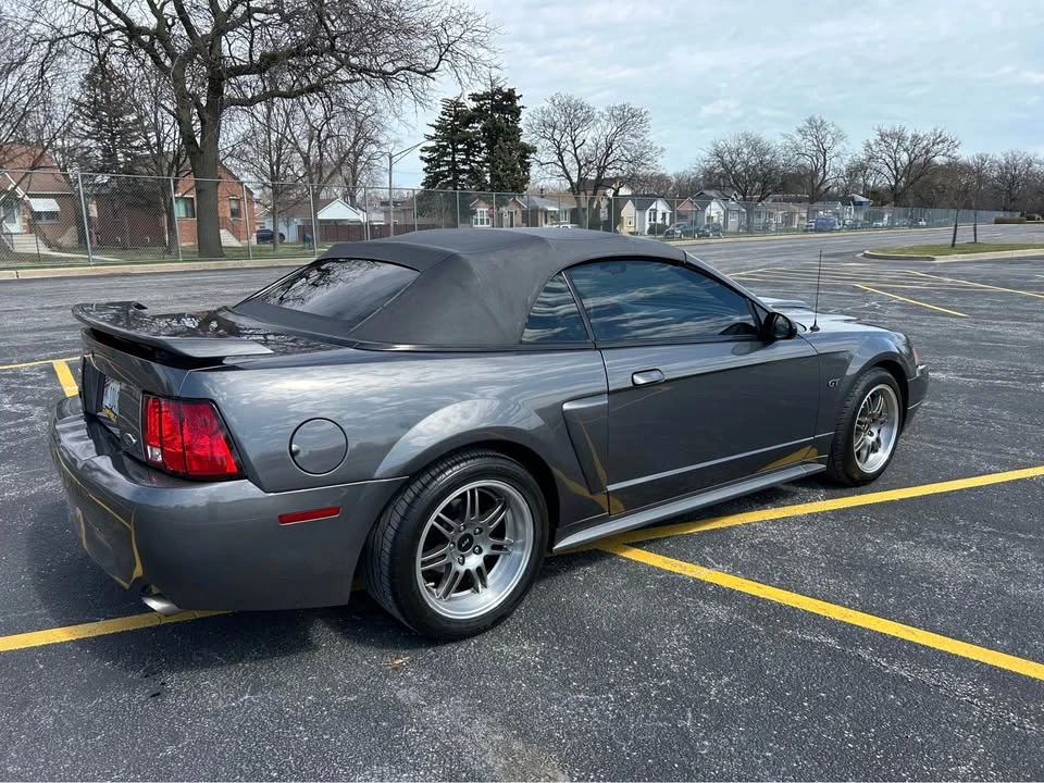 2003 Ford SN95 Mustang - Image 8 of 13