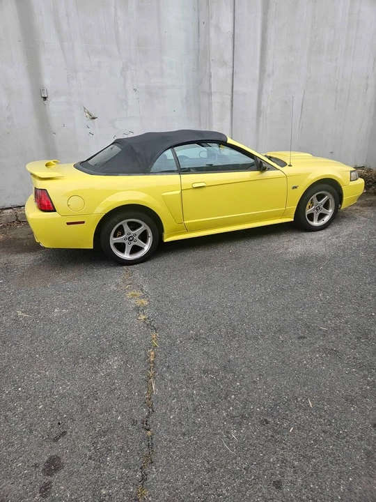 2003 Ford SN95 Mustang - Image 2 of 4