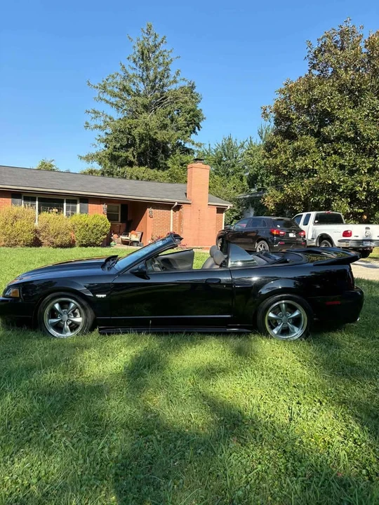 2003 Ford SN95 Mustang - Image 4 of 11
