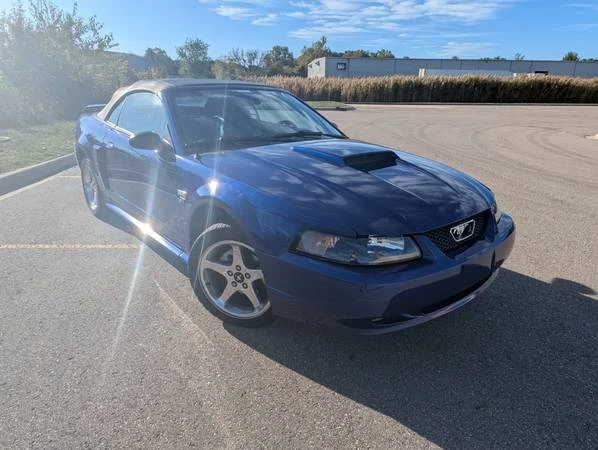 2003 Ford SN95 Mustang - Image 2 of 13
