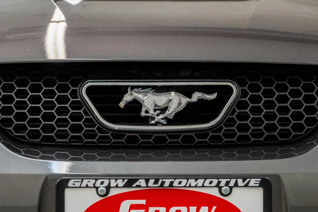 2003 Ford SN95 Mustang - Image 24 of 31