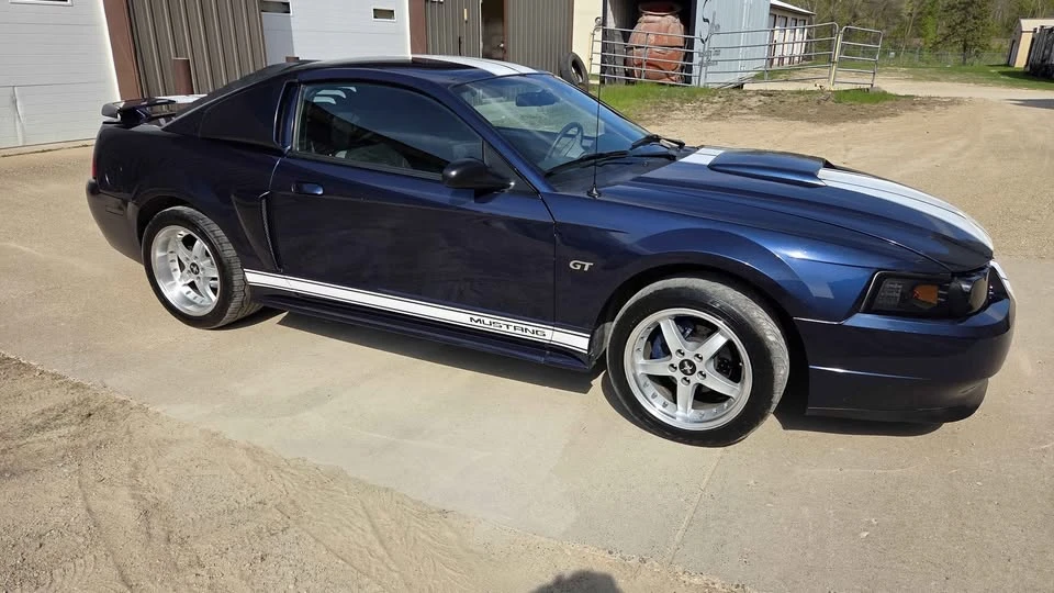 2003 Ford SN95 Mustang - Image 7 of 20
