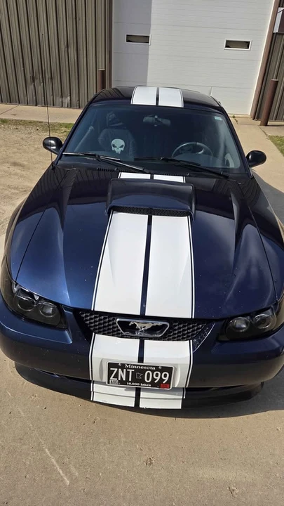 2003 Ford SN95 Mustang - Image 8 of 20