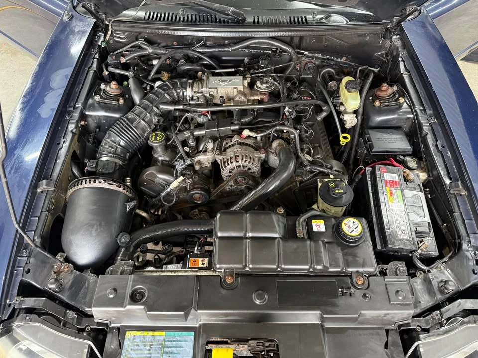 2003 Ford SN95 Mustang - Image 11 of 12